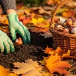How to Plant Bulbs in the Fall for Gorgeous Spring Blooms