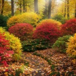 20 Fall Shrubs That Will Bring Color to Your Yard