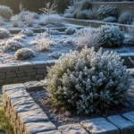 20 Stylish Winter Garden Borders That Add Instant Structure