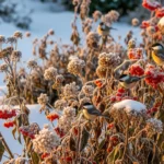 20 Winter Wildlife Plants That Attract Birds & Pollinators