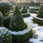22 Winter Shrubs That Make Your Garden Look Expensive