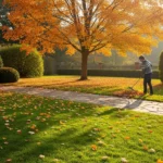 25 Fall Lawn Care Tips to Revive Your Yard