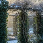 27 Snow-Resistant Vines That Climb Through Any Winter