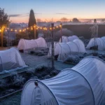 How to Build Winter Plant Shelters for Frost Protection