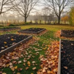 How to Prepare Soil for Winter to Boost Spring Growth