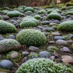 23 Magical Moss Gardens That Love Cold Weather