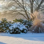 How to Design a Snow Garden That Looks Magical