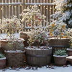 How to Grow Hardy Mini Fruit Bushes in Winterr
